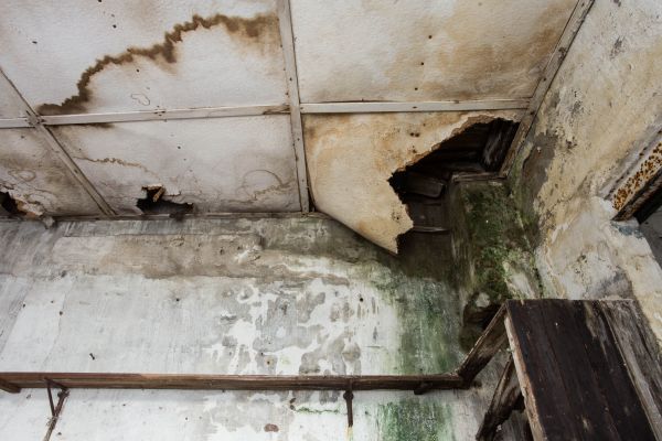 Cost of Water Damage Service in Carson City