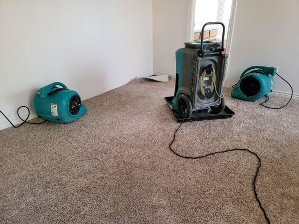 Cost of Flood Damage Repair in Carson City