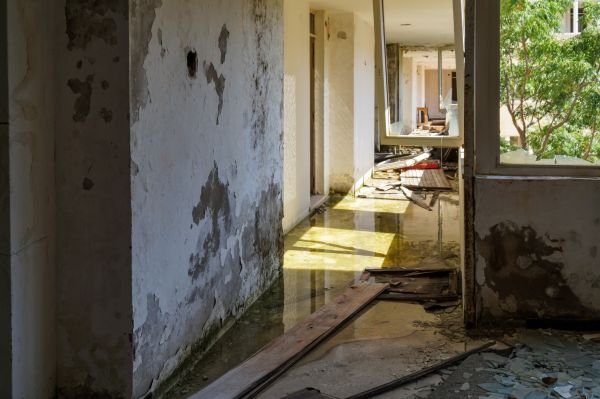 Cost of Water Removal Service in Carson City