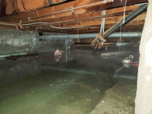 Cost of Water Mitigation Service in Carson City